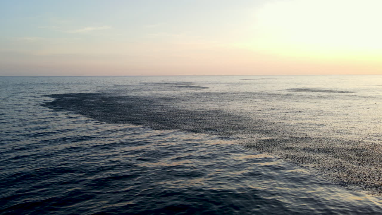 Schooling fish baitball cause disturbance at ocean surface, sunset aerial