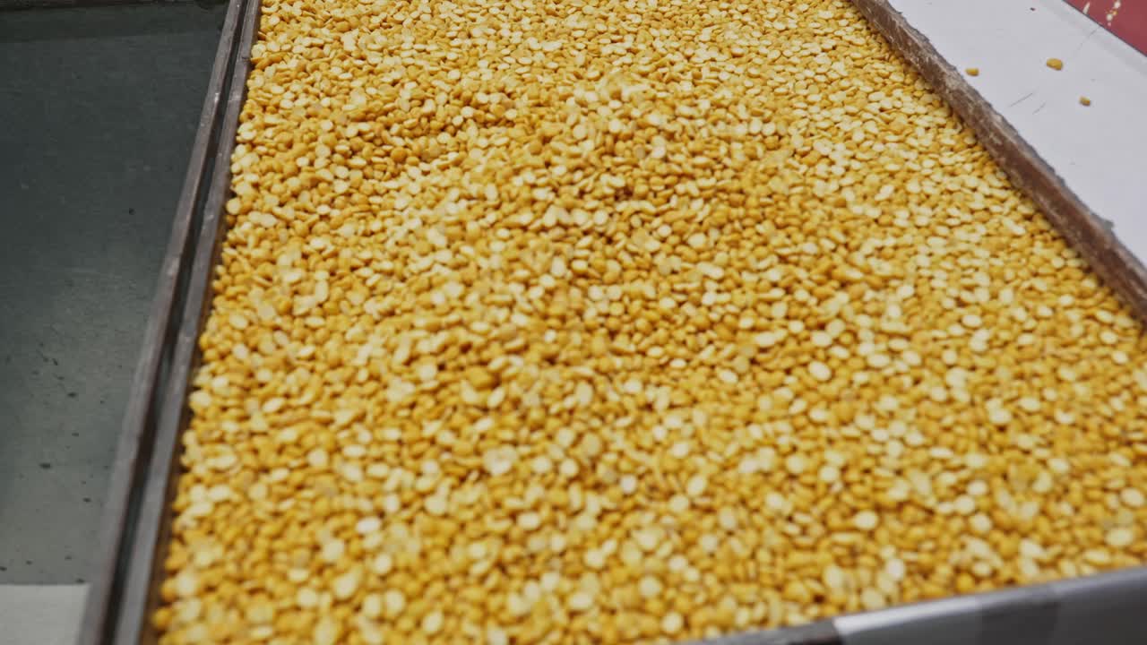 split chickpeas or chana dal in grain storage box, stable shot, 4k.