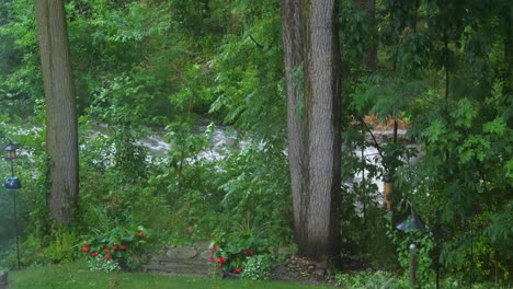 river creek flowing furiously on rainy day - fast moving water