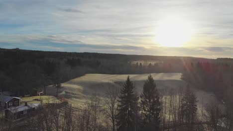 drone rising over trees view over field with slope