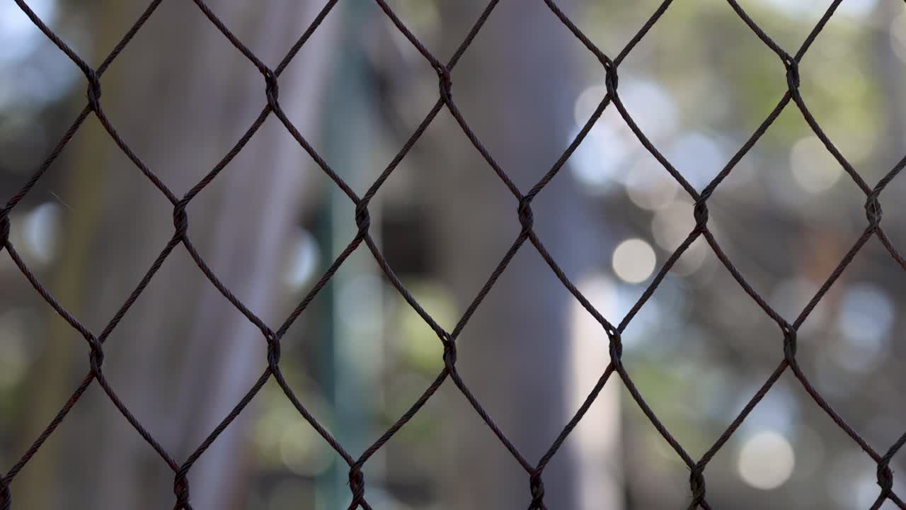 동물원 울타리를 통해 흐릿한 시야