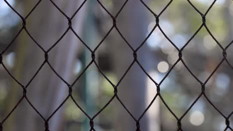 vista borrosa a través de una valla del zoológico