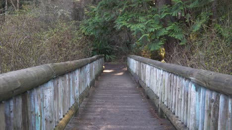 puente de madera hecho por el hombre en un sendero de senderismo en el estado de washington