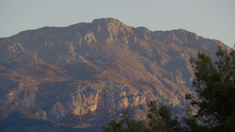 Mountain-Sunrise-with-Coniferous-Tree