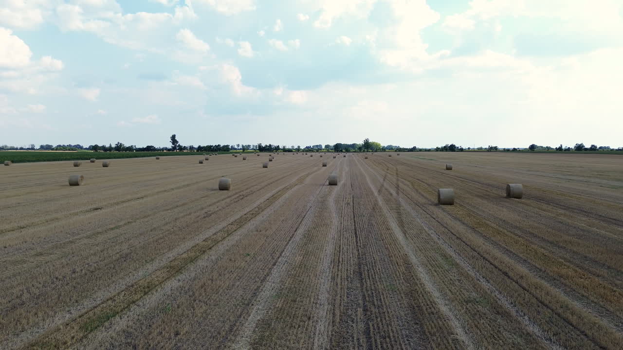 Erleben Sie die ruhige Schönheit einer weiten abgeernteten Ackerlandschaft, übersät mit goldenen Heuballen unter klarem Himmel, begrenzt von einer entfernten Baumreihe. Dieses Video fängt die Essenz der ländlichen Landwirtschaft ein.