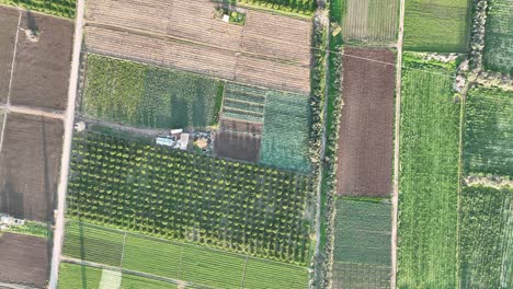 aerial footage over green agricultural fields