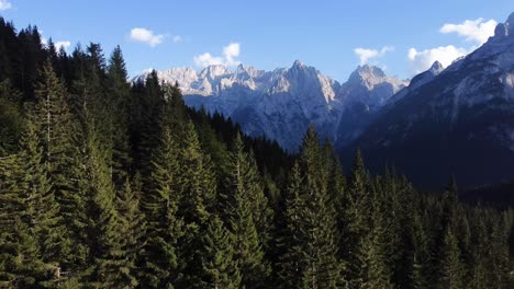 Eine-4K-Drohnenaufnahme-Eines-Kiefernwaldes-Mit-Den-Herausragenden-Bergen-Im-Hintergrund-In-Der-Wunderschönen-Gegend-Der-Dolomiten-In-Norditalien