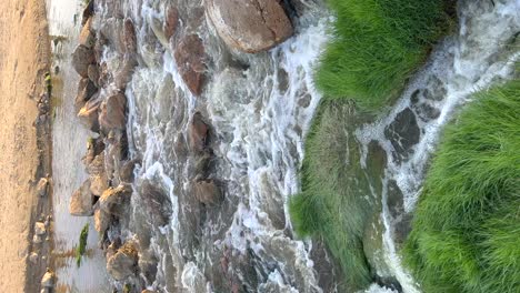 stream of water flowing to the beach between rocks with green grass, vertical view