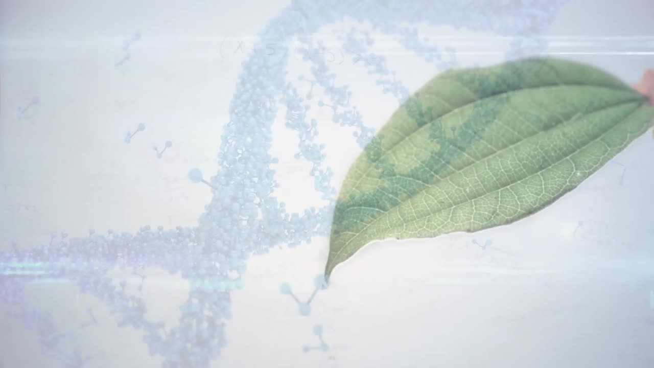 잎 위를 회전하는 dna 가닥의 애니메이션