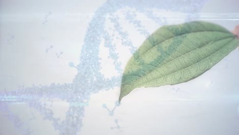 Animation-of-dna-strand-spinning-over-leaf