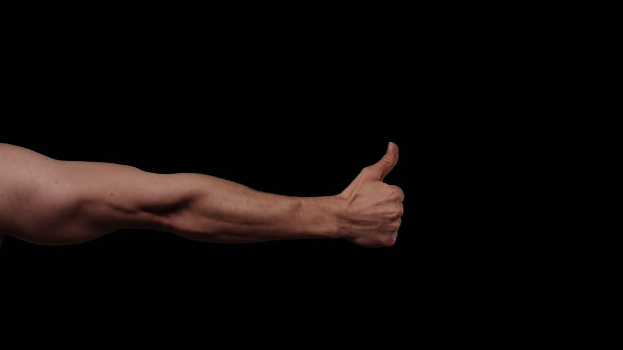 알파 채널에 대한 손의 제스처