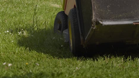 lawn mower driving on grass in the garden