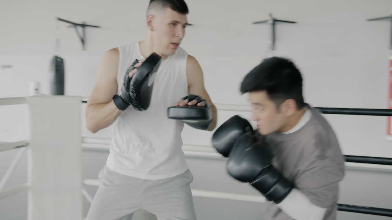 권투 훈련 세션