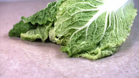 fresh chinese cabbage