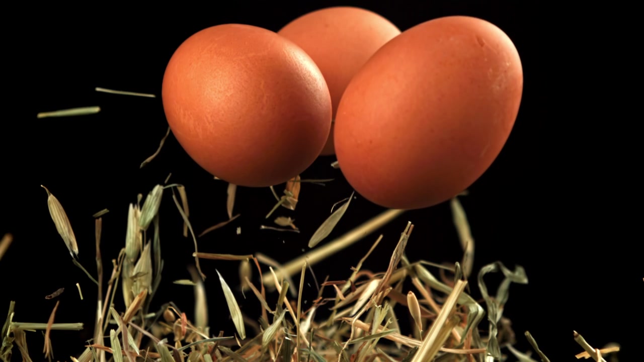 Ferske brune egg og høy som flyter i sakte film på svart bakgrunn