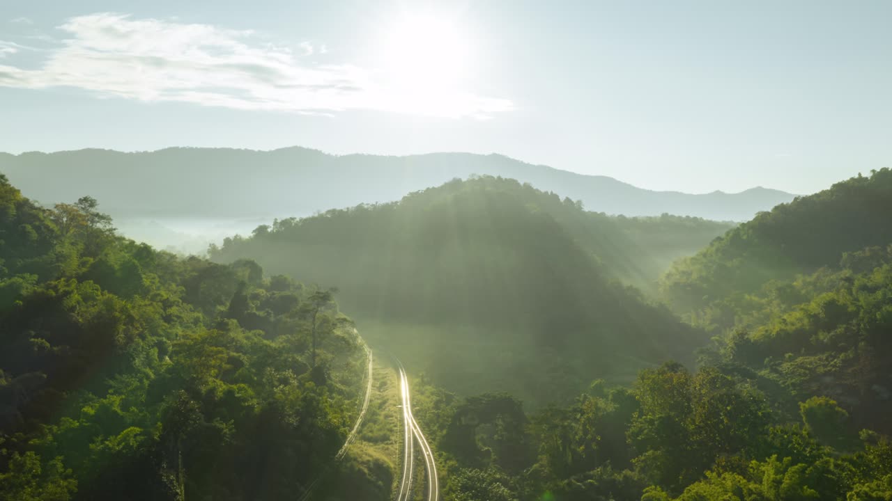 The train runs on tracks amid a beautiful green forest.