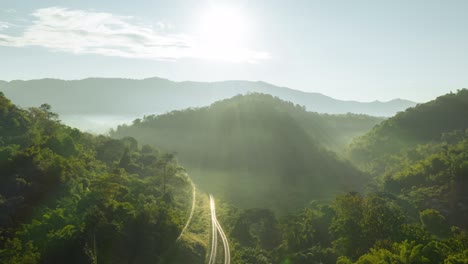 the train runs on tracks amid a beautiful green forest.