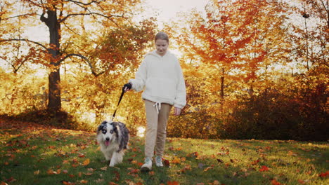 the owner walks with his dog, the pet walks next to him on a leash. steadicam follow shot