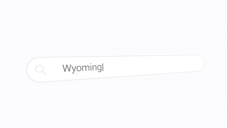 entering wyoming on search engine - the equality state - first state to grant women the right to vote.