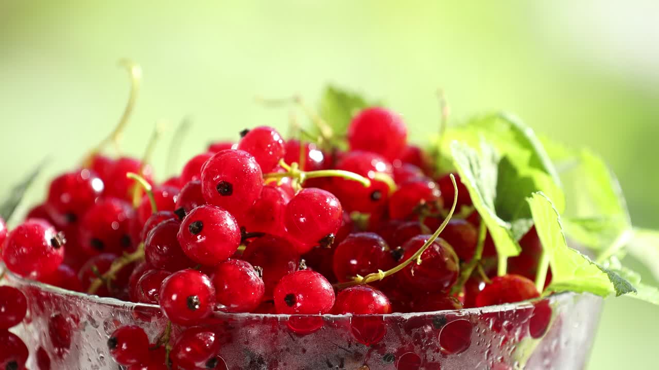 유리 접시 에 물방울 과 초록색 잎 을 넣은 익은 은 수박