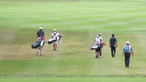 golf players putting on the green during a summer golf tournament at a municipal golf course