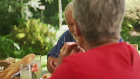 Senior-African-American-couple-spending-time-in-garden-together