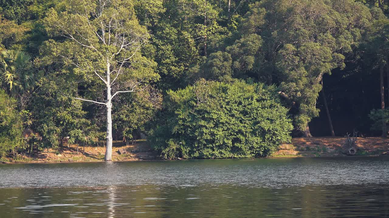 앙코르와트 사원 주변 해자에 있는 고요한 물의 와이드 샷