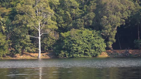 wide shot of the tranquil waters in the moat around angkor wat temples