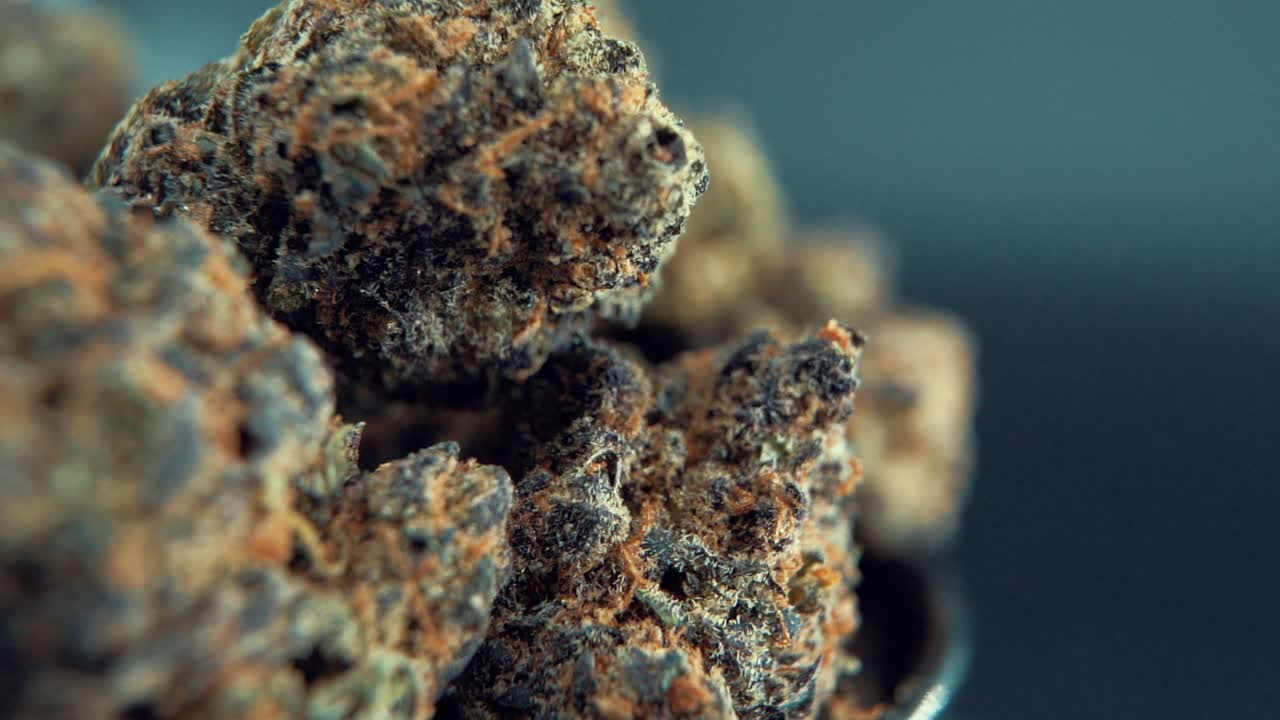 A macro cinematic detailed shot of a cannabis plant, orange hybrid strains, Indica and sativa , purple marijuana flower, on a rotating stand, slow motion, Full HD, studio lighting