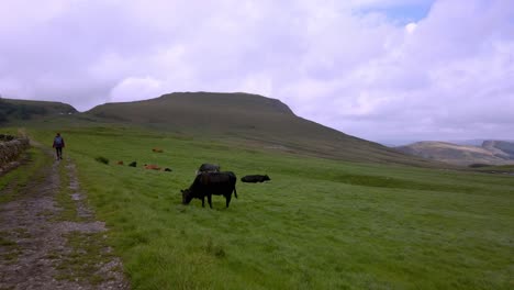 pov walking across field to mam tor peak district trail