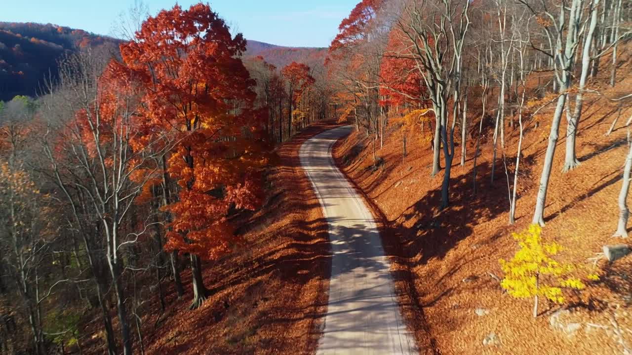 Initiating flight drone gliding forward over dirt road through fall woods to showcase foliage