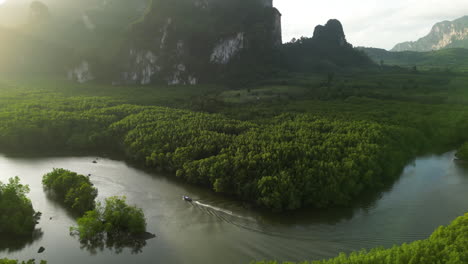 aerial view of krabi thailand boat cruise mangrove with scenic forest cliff and sunshine on river water, tourist travel destination in asia