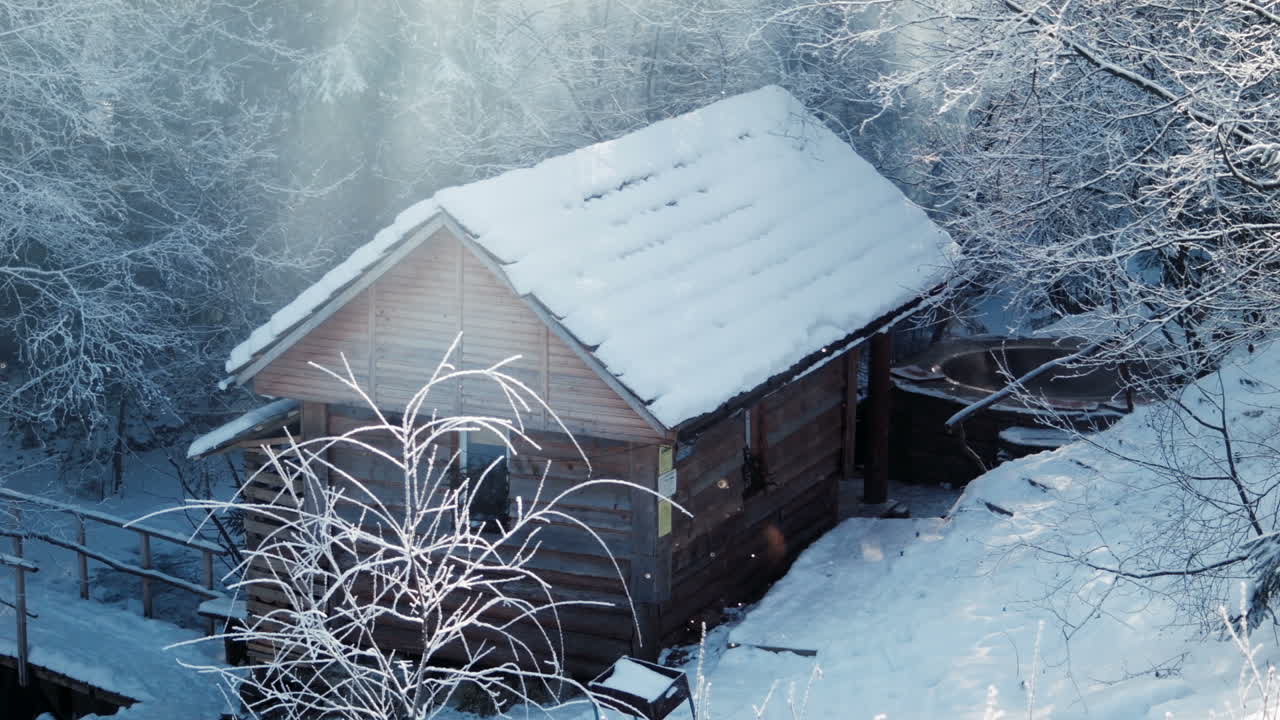 Wooden Lodge In The Winter Wood (Stock Footage)