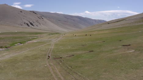 equitación mongola, visión general de drones de alto ancho, caballos de mongolia, tiro aéreo del valle de las tierras altas