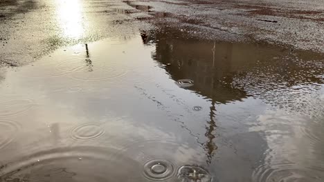 spring rain. close-up of a drop in a puddle on road. season autumn of heavy rains. wet asphalt on city streets. the reflection of the setting sun in a puddle.