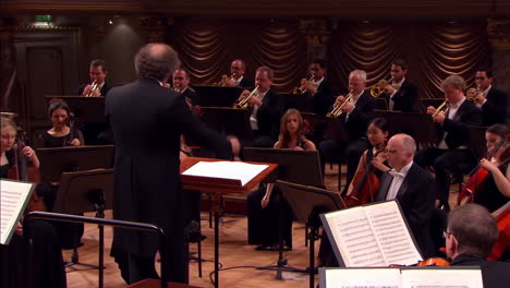 orchestra performing with a conductor