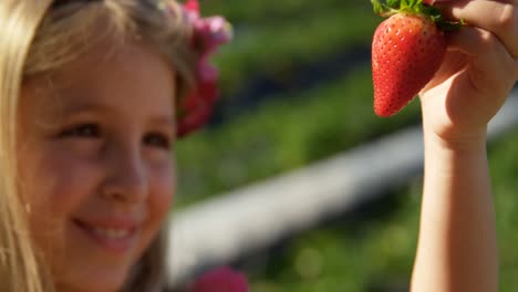Girl-holding-strawberry-in-her-hand-at-farm-4k