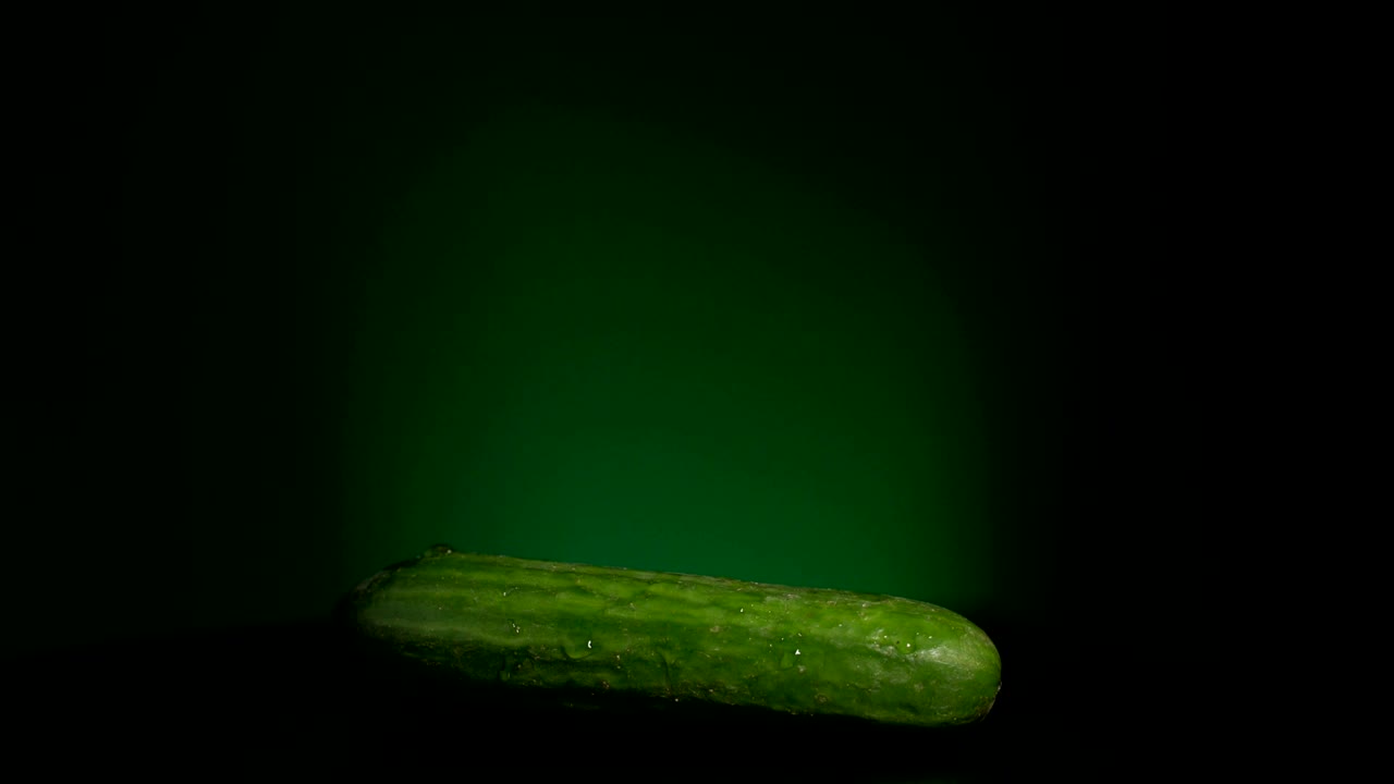 sucumber 회전 루프 가능