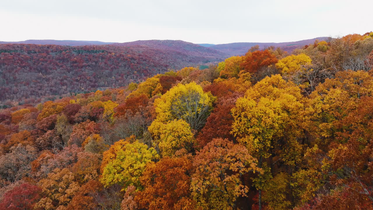 Aerial View Of Colorful Trees In Autumn, Devil's Den State Park, Arkansas, USA - Drone Shot