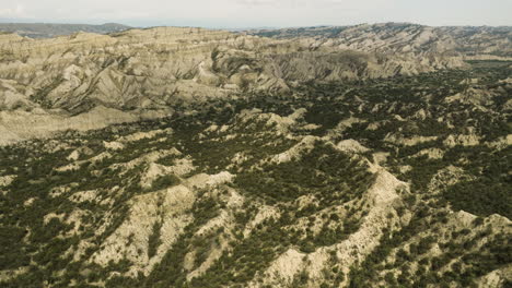 arid canyon landscape with hills and scarce bush vegetation, georgia