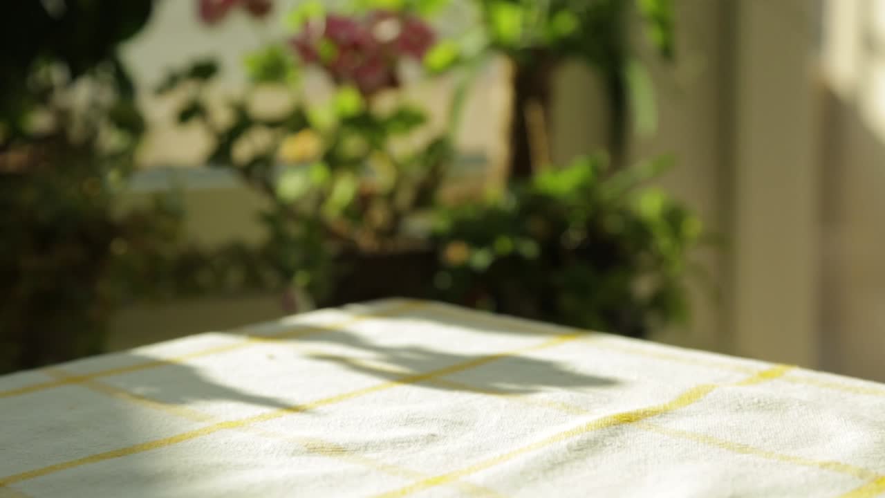 rollo b de tarta de queso con mango indio