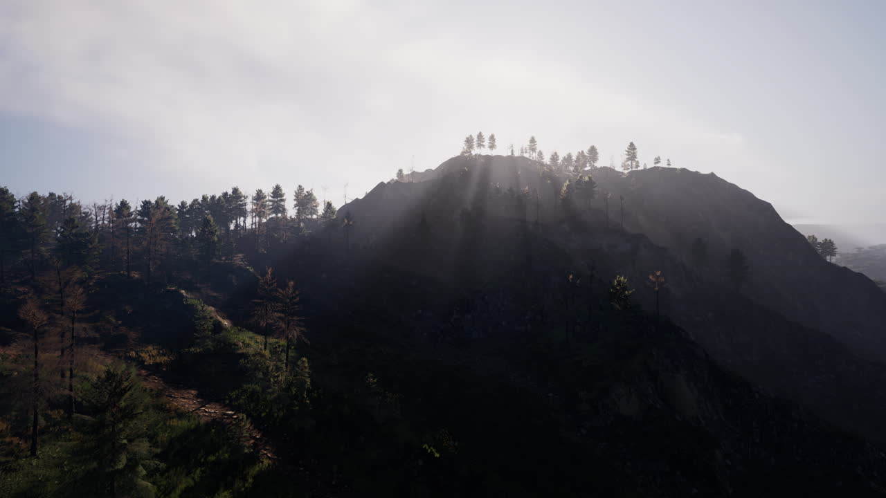 녹색 소나무 숲 으로  ⁇ 인 타트라 산맥