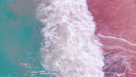 Top-aerial-view-of-sea-green-waves-crashing-against-pink-shore,-static