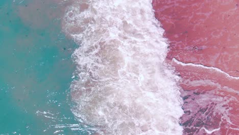 top aerial view of sea-green waves crashing against pink shore, static