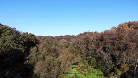 Aerial-View-Of-Otterhead-Lakes-On-Sunny-Day