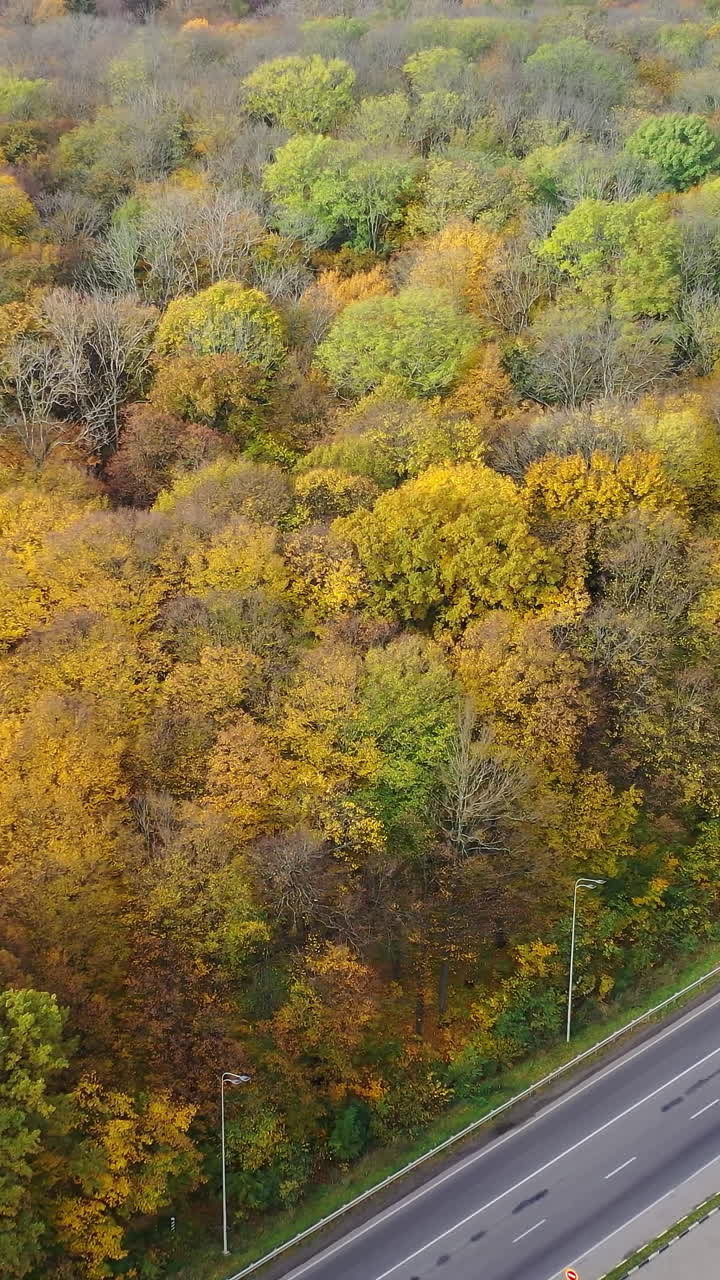 Aerial view of autumn forest roadway. Orange landscapes autumn highway. Vertical video