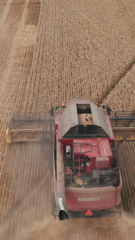 aerial view of big harvester gathering yellow wheat field. combine machine grain working in the field. vertical video