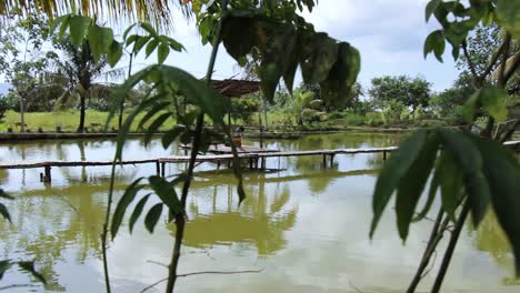 Hermoso-Puente-De-Bambú-Hecho-A-Mano-En-Un-Lago