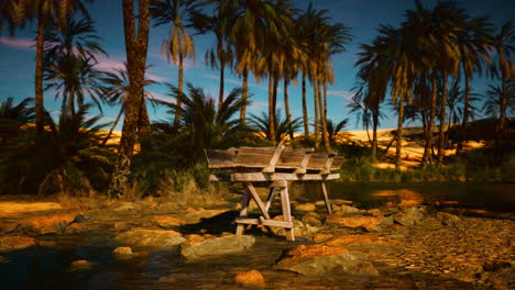 a lone wooden bench in a desert oasis, surrounded by palm trees