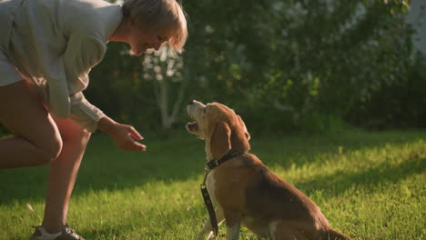 mujer bailando alegremente frente a su perro mientras el perro mira con sorpresa, mientras alcanza la pata del perro y la levanta, el fondo presenta vegetación exuberante, un edificio y un teléfono en su bolsillo trasero